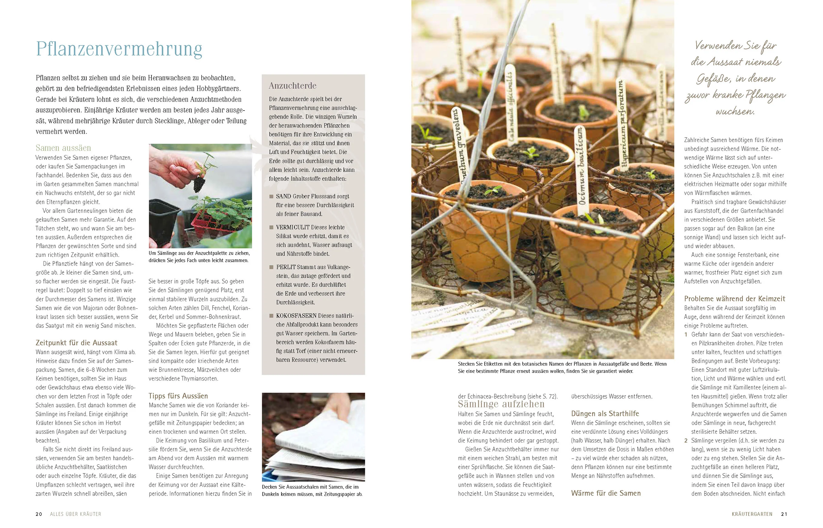 Alles über Kräuter - Image 3