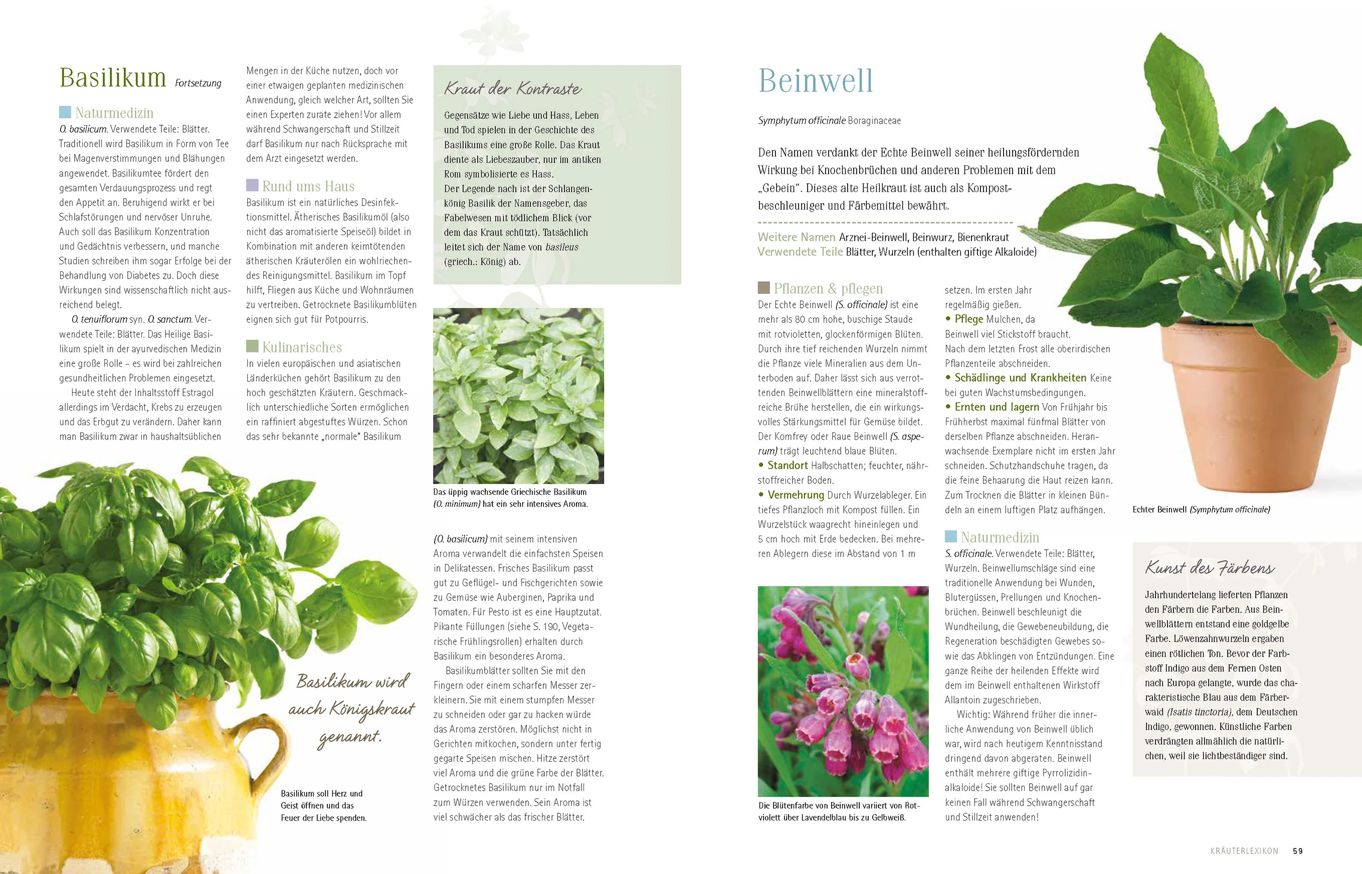 Alles über Kräuter - Image 5
