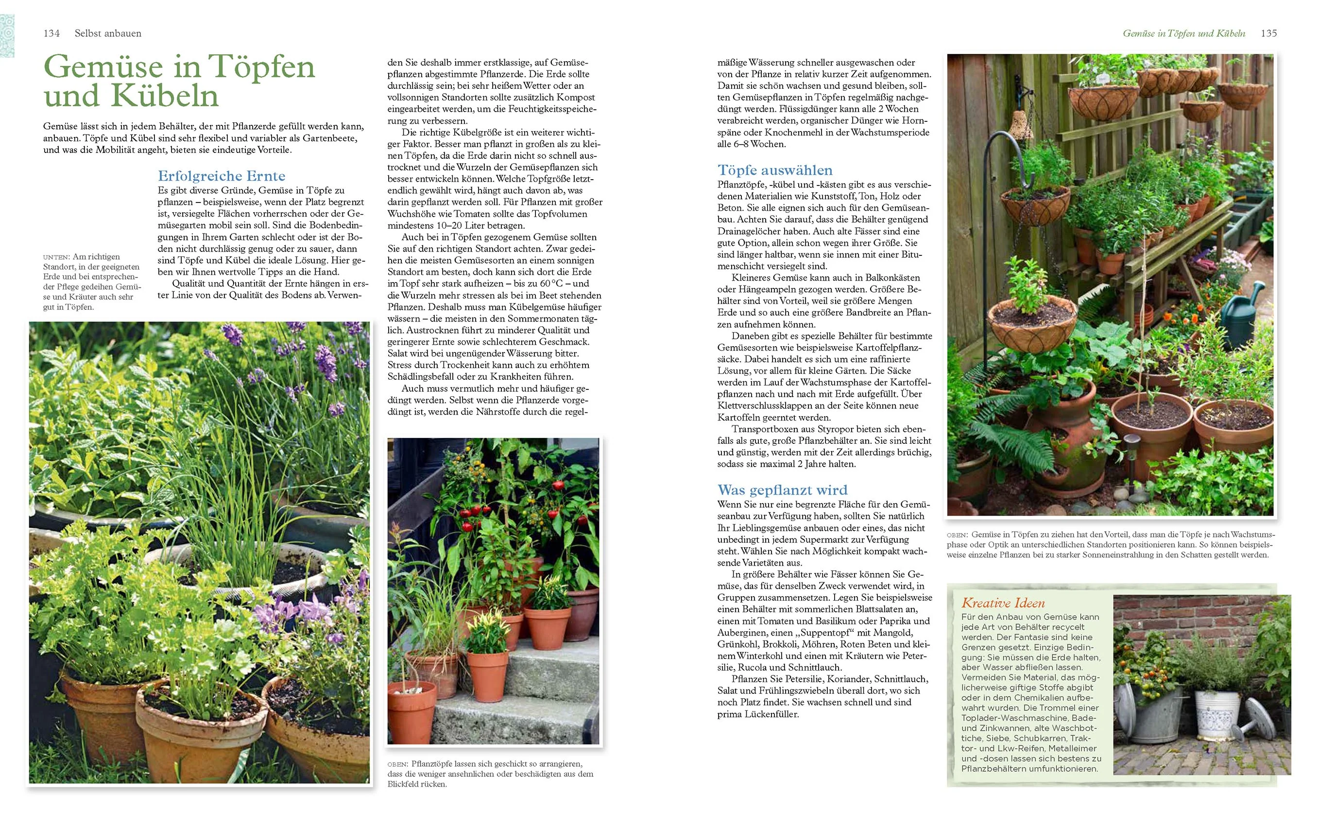 Alles, was Sie über Gemüse wissen müssen - Image 4