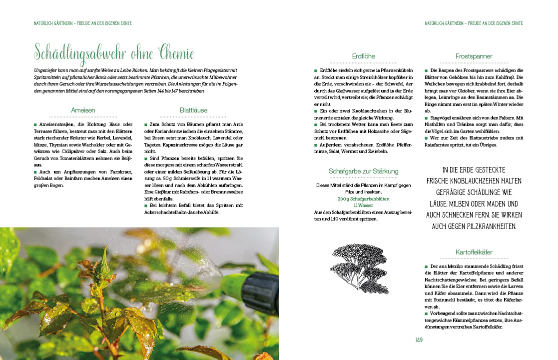 Altbewährtes neu entdeckt - Image 5