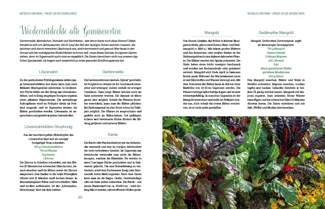 Altbewährtes neu entdeckt - Image 6