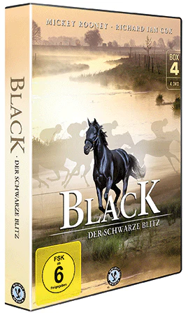 Black - Der schwarze Blitz (TV Serie) - Image 5