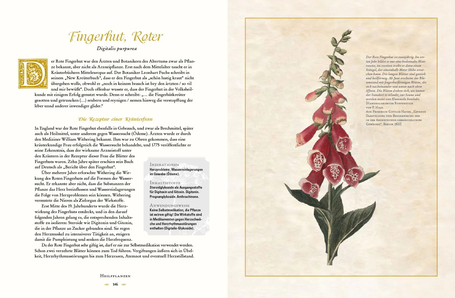 Die Heilkunst alter Zeiten - Image 3