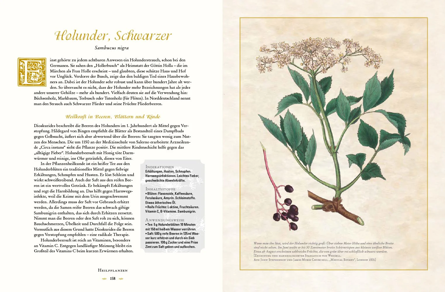 Die Heilkunst alter Zeiten - Image 4