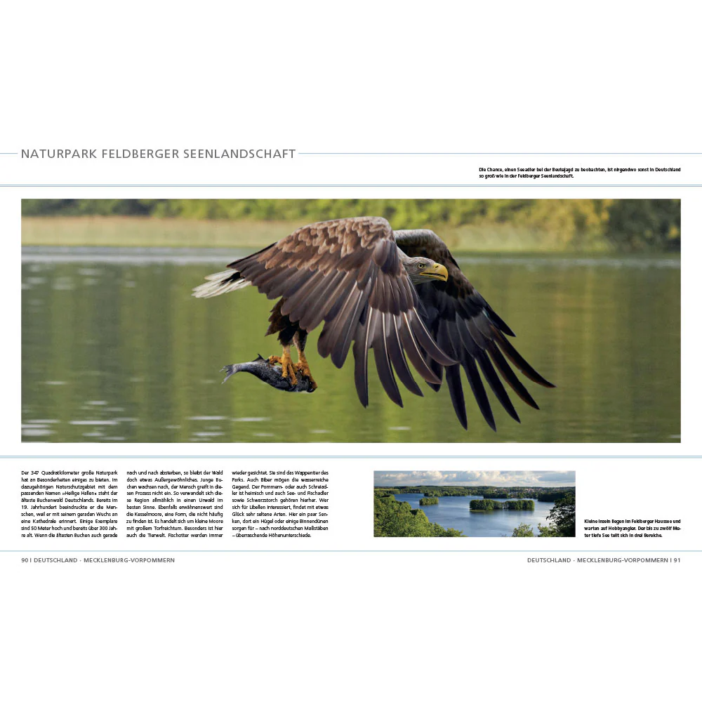 Die letzten Wildnisse in Deutschland, Österreich und der Schweiz - Image 5