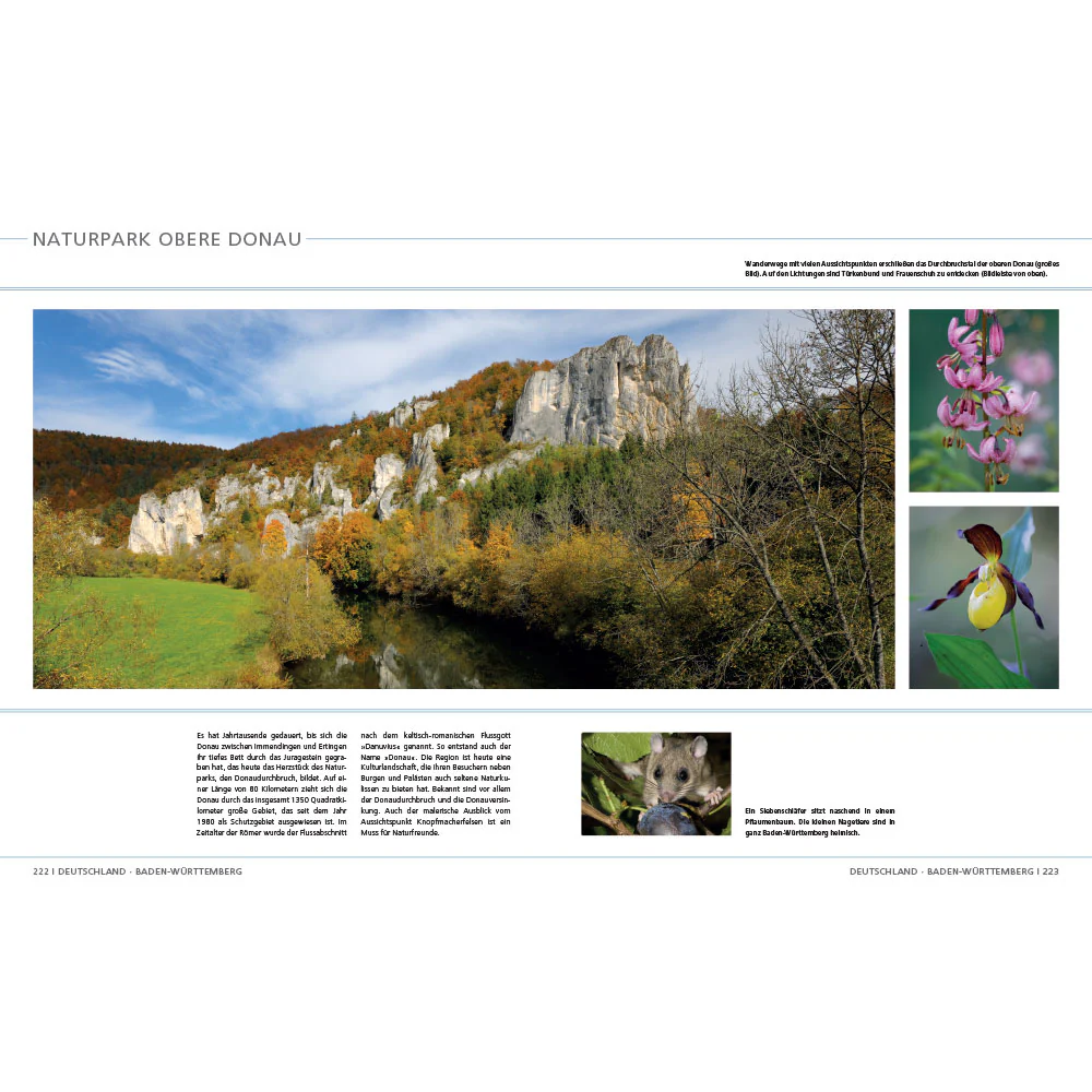 Die letzten Wildnisse in Deutschland, Österreich und der Schweiz - Image 6