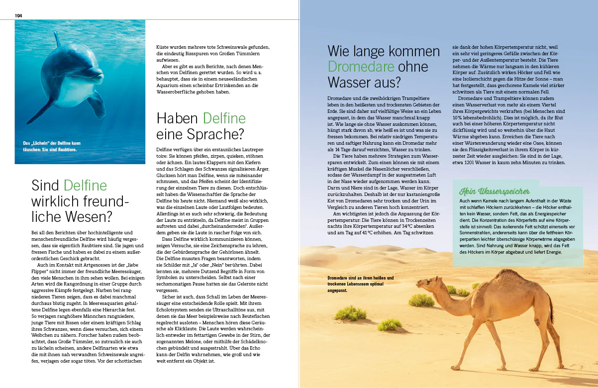 Hätten Sie's gewusst? - Image 6