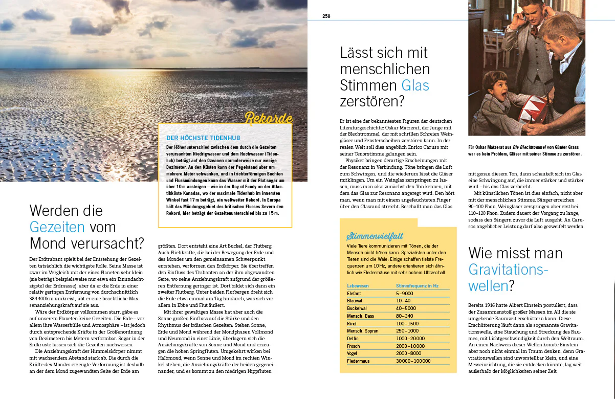 Hätten Sie's gewusst? - Image 7