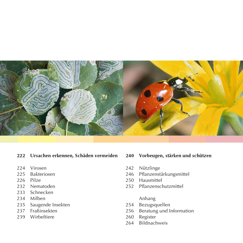 Rettung in Sicht - Der Pflanzendoc im Einsatz - Image 3