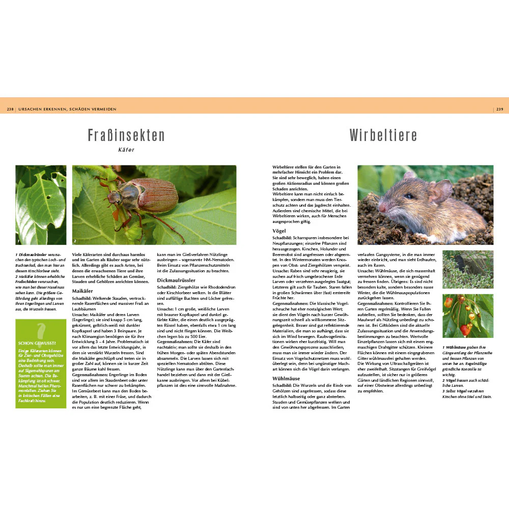 Rettung in Sicht - Der Pflanzendoc im Einsatz - Image 4