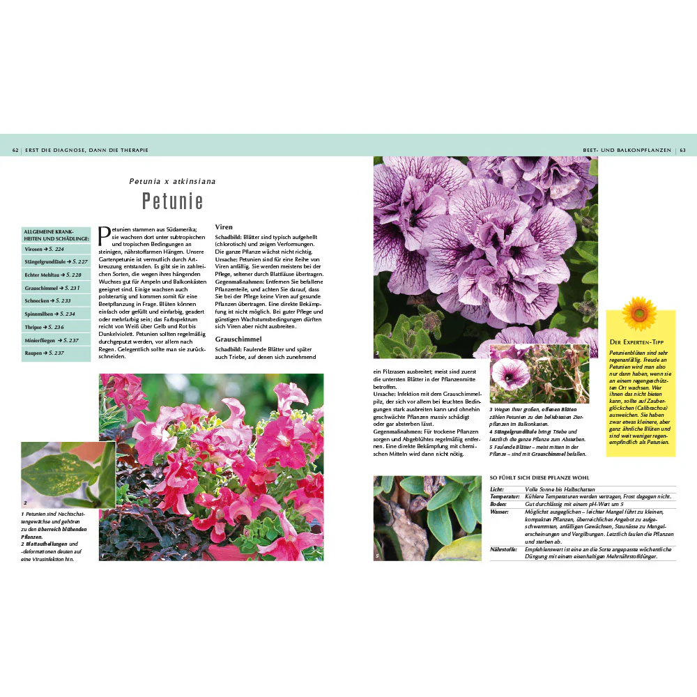 Rettung in Sicht - Der Pflanzendoc im Einsatz - Image 5