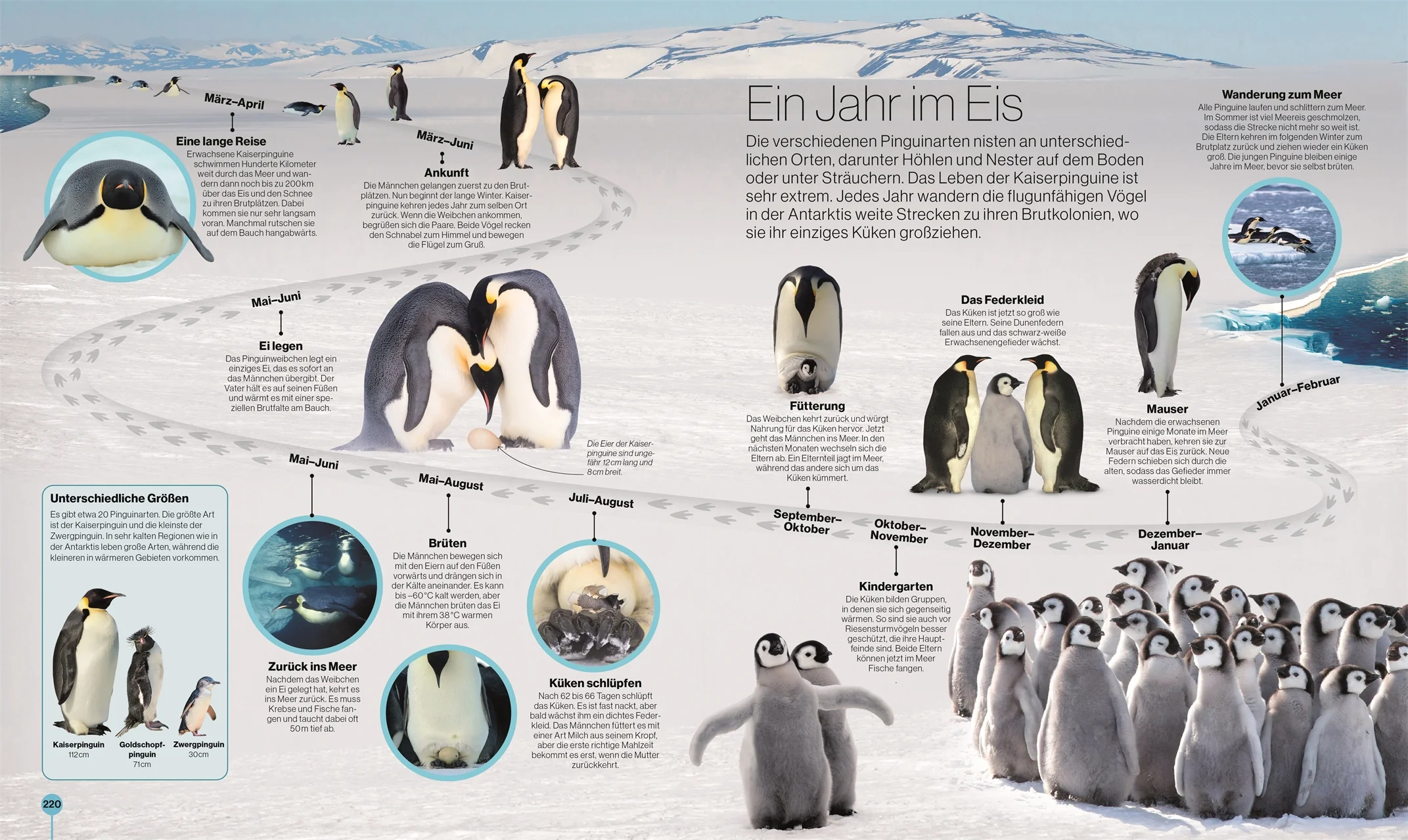 Reise durch die Natur + Reise durch die Wissenschaft (2er-Set) - Image 10