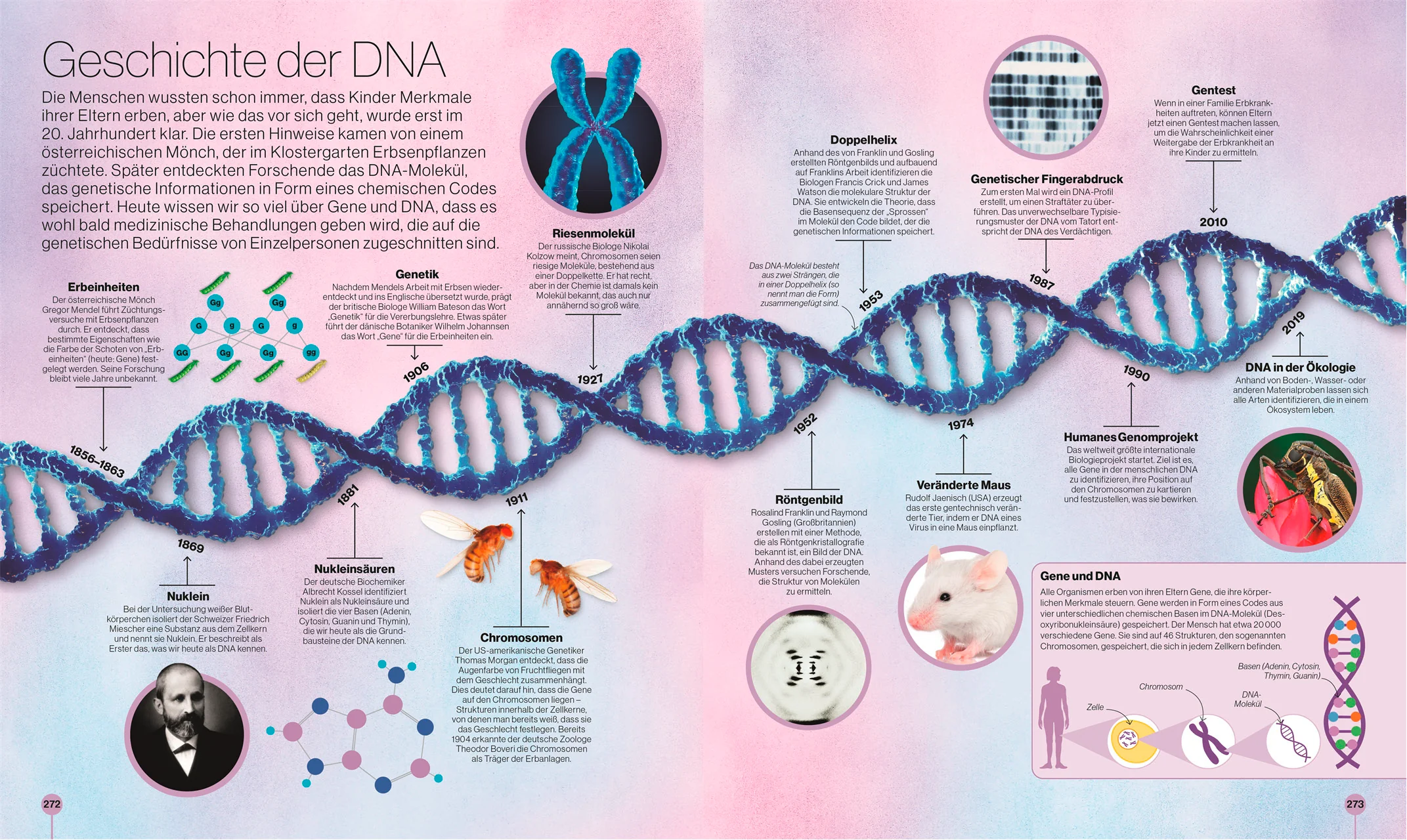 Reise durch die Natur + Reise durch die Wissenschaft (2er-Set) - Image 4