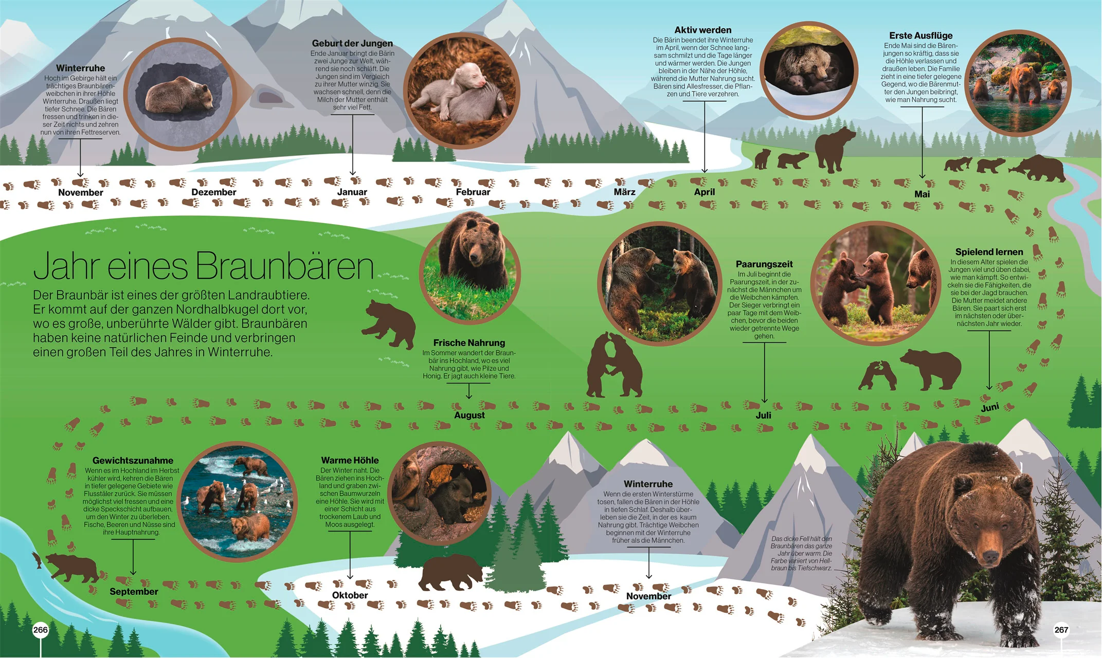 Reise durch die Natur + Reise durch die Wissenschaft (2er-Set) - Image 5