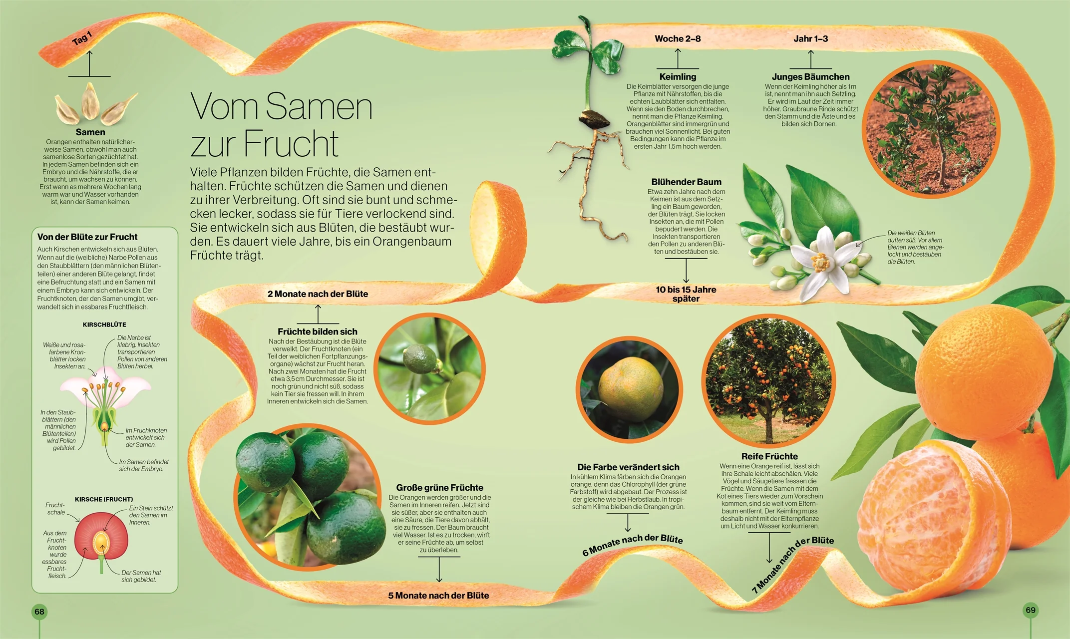 Reise durch die Natur + Reise durch die Wissenschaft (2er-Set) - Image 9