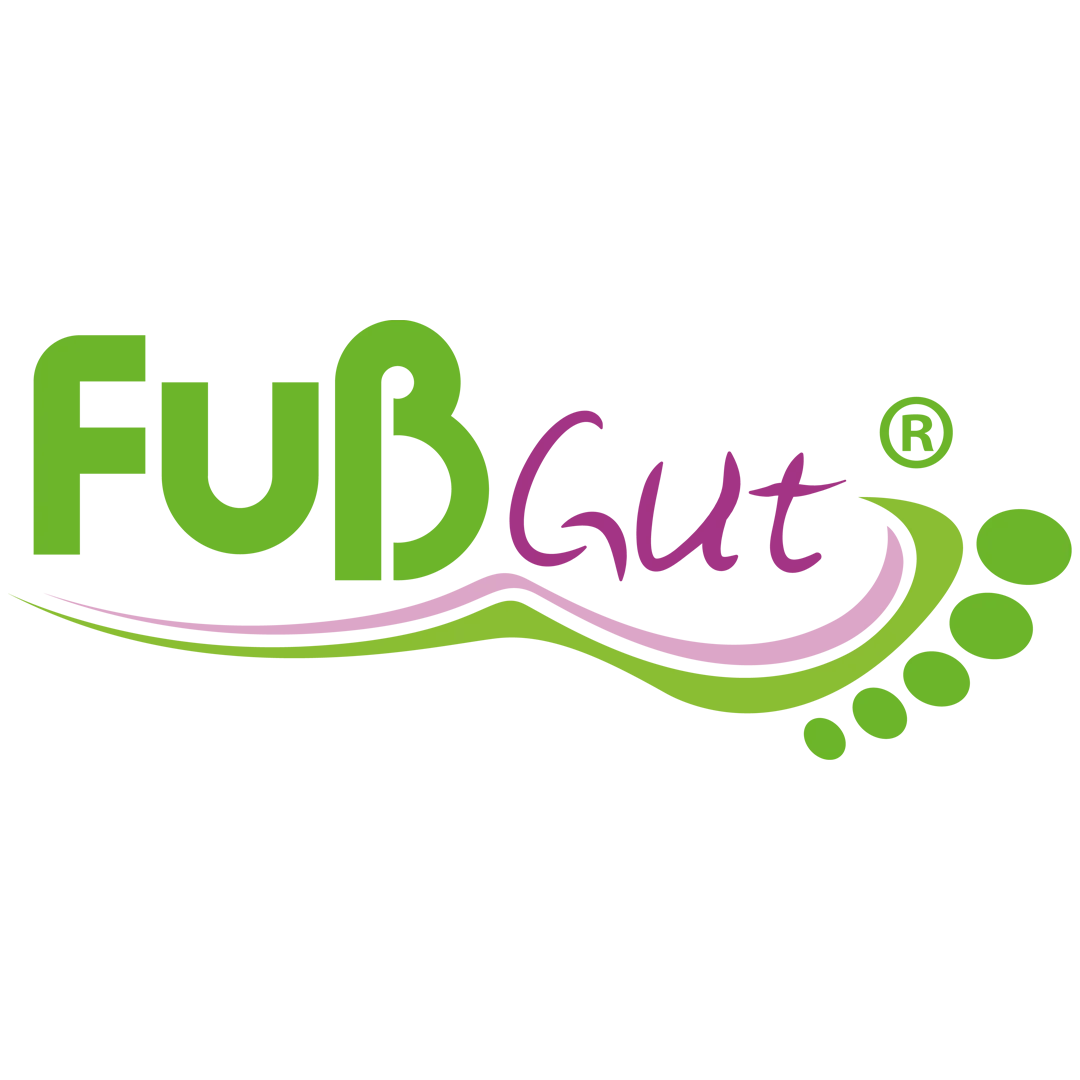 Strumpf »Sprunggelenk« - Image 5