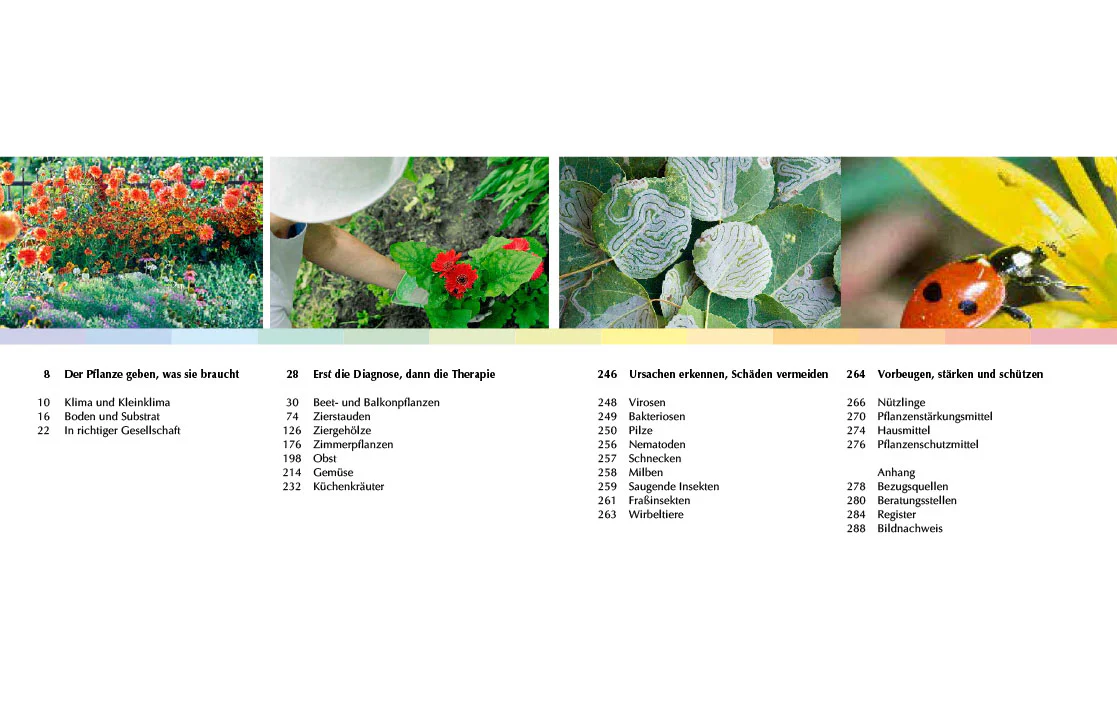 Was fehlt denn meiner Pflanze? - Image 3