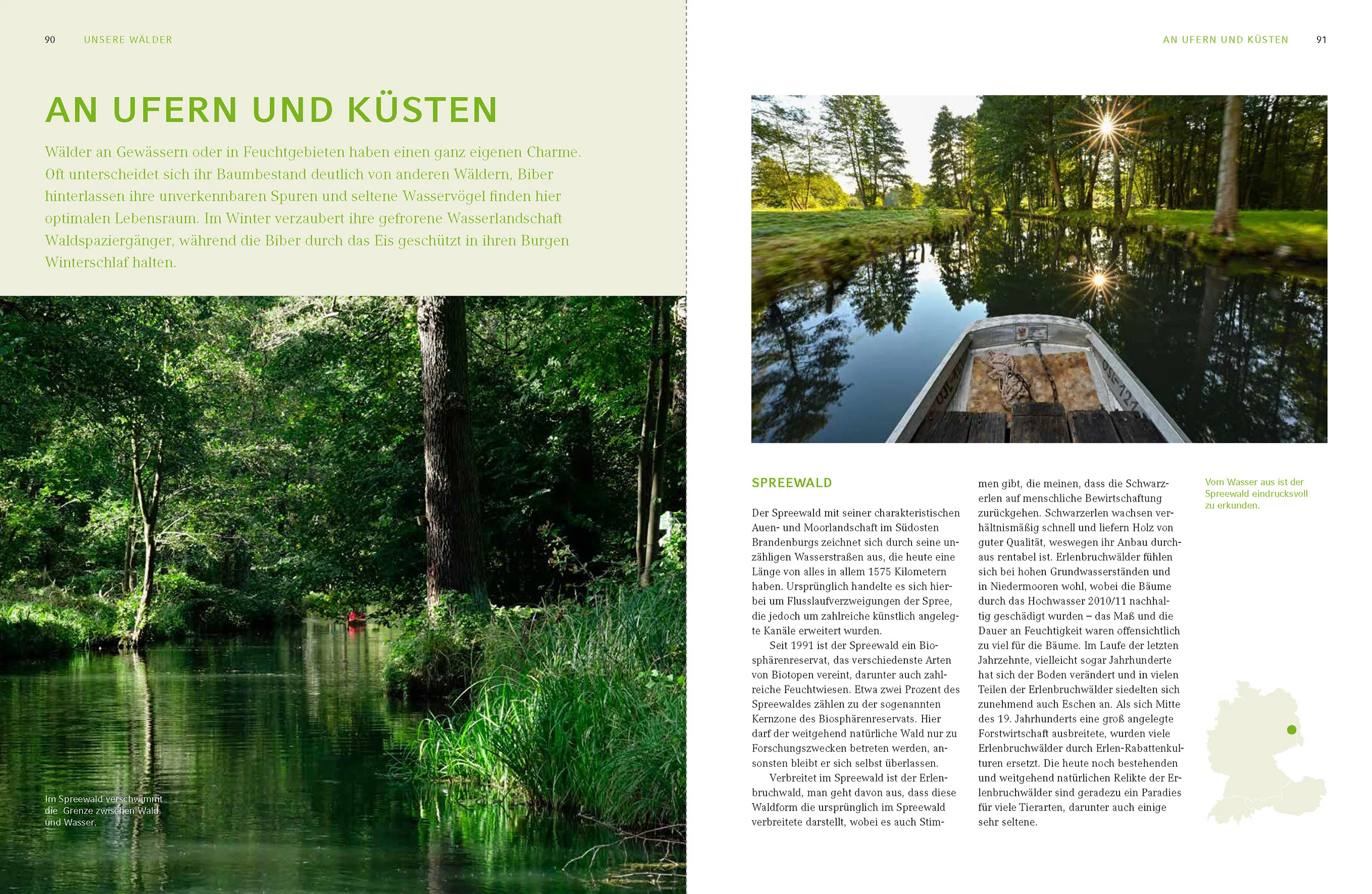 Zauber und Schönheit unserer Wälder - Image 6